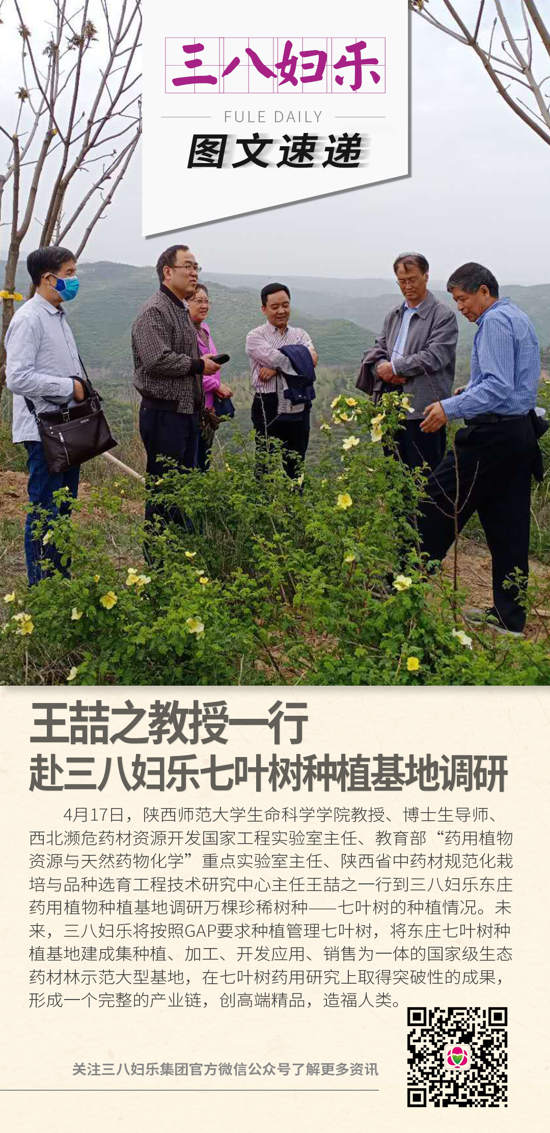 王喆之教授一行赴三八婦樂七葉樹種植基地調研