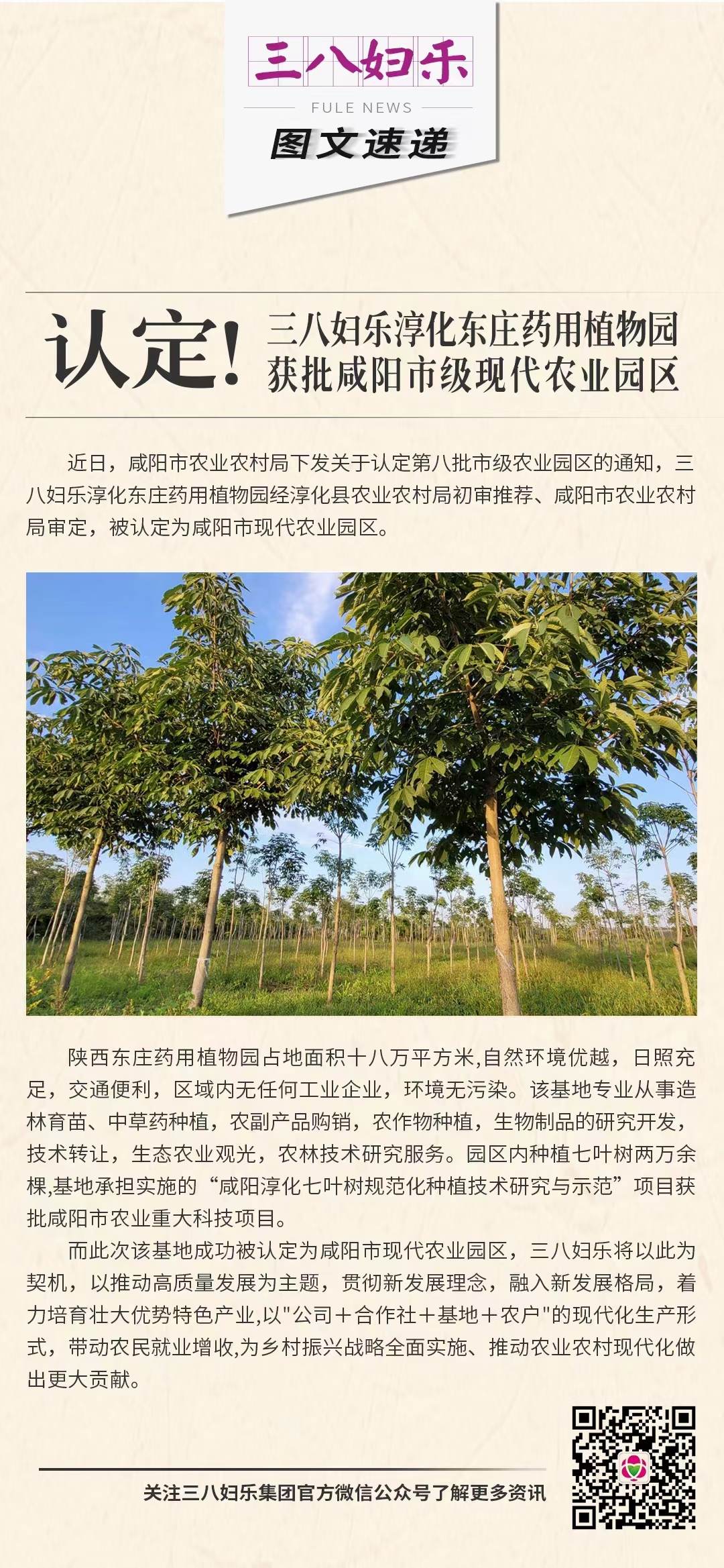 認(rèn)定！三八婦樂淳化東莊藥用植物園獲批咸陽市級(jí)現(xiàn)代農(nóng)業(yè)園區(qū)
