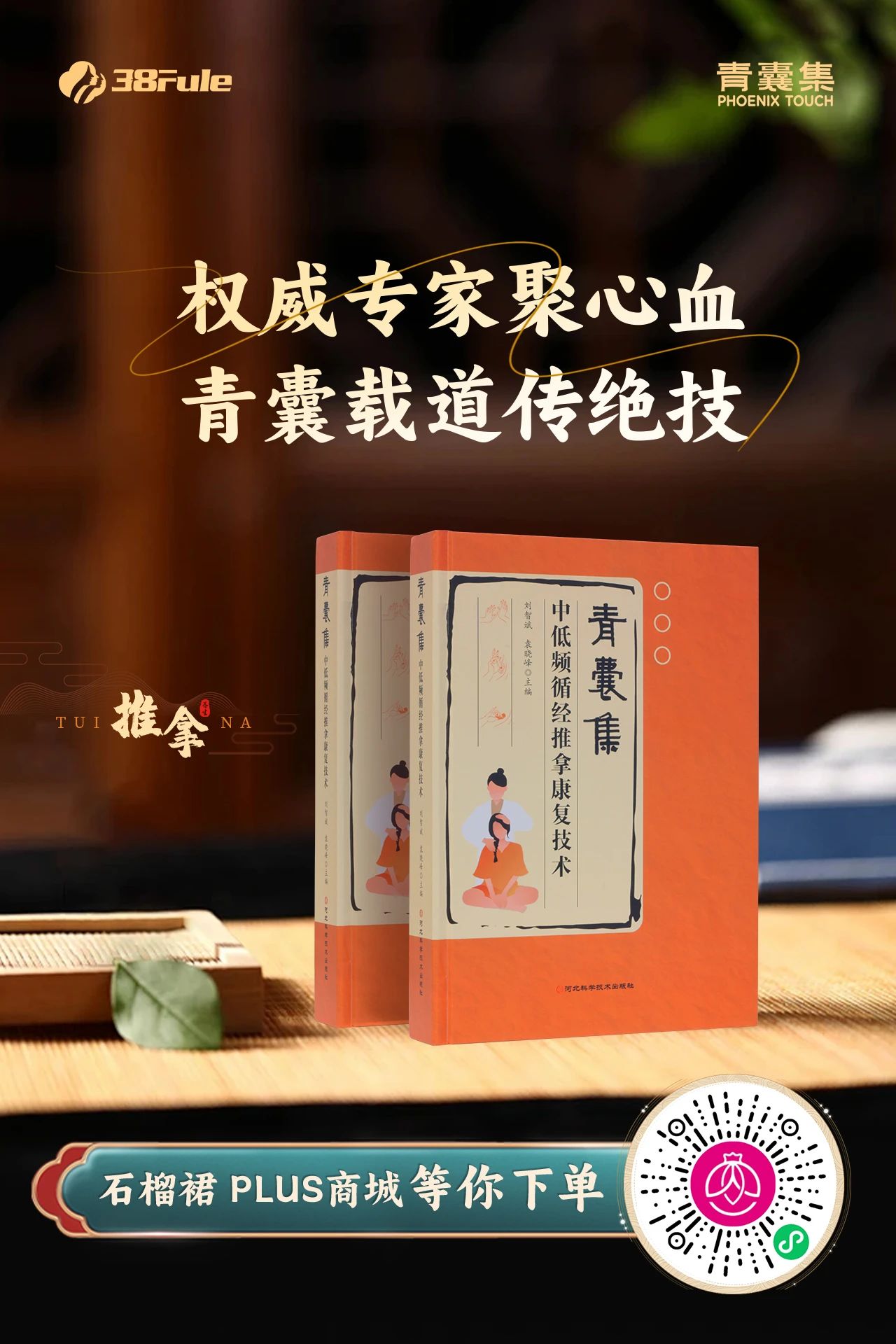 好書如寶藏！《青囊集中低頻循經(jīng)推拿康復技術(shù)》正在熱銷中～